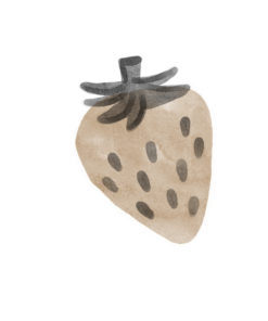 MUSSELINTÜCHER